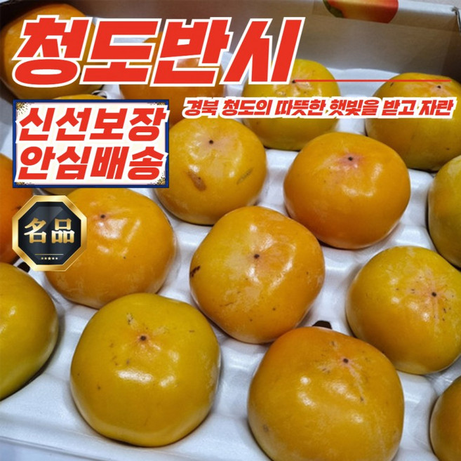 씨없이 달달한 반시 소과 5kg S-2S 36-48내, 1개, 상세페이지 참조
