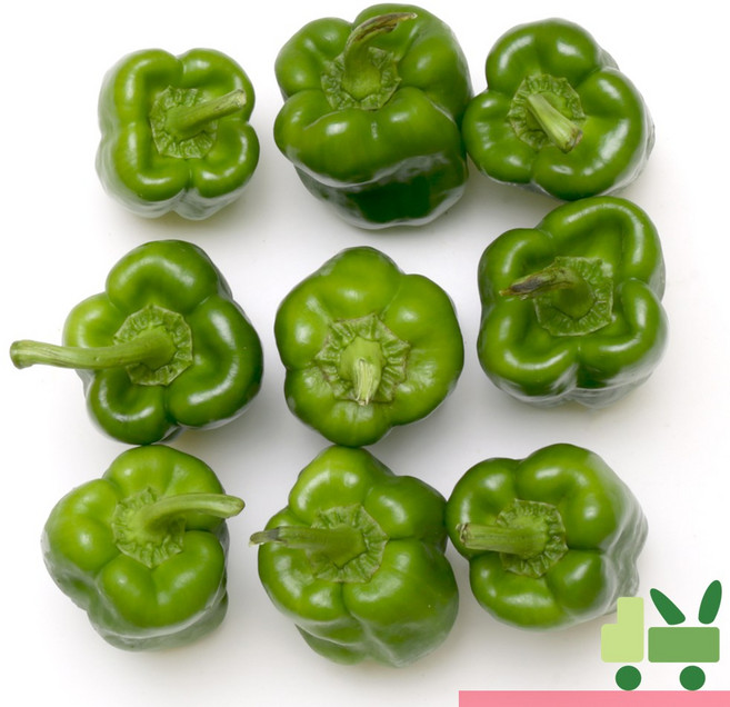 사라상회 청피망 5Kg (상), 1개