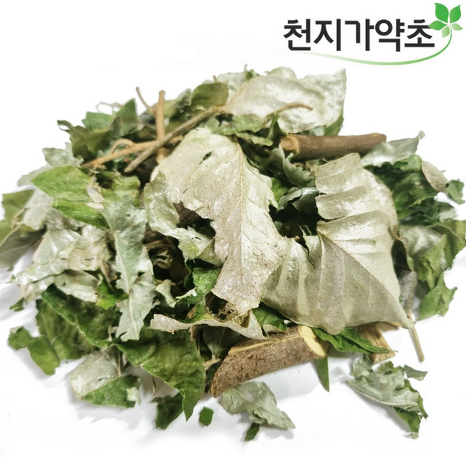 청정제주산 보리밥나무 300g 자연산 해풍맞고자란, 1개