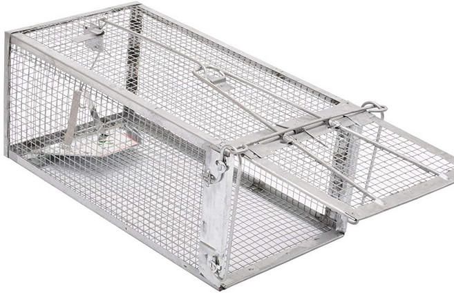 Kensizer Humane Mouse Trap Squirrel Rodent Trap Suitable for Indoor and Outdoor Small Animals - M