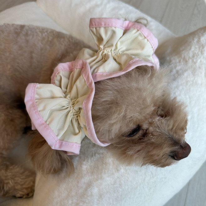 스카이몰 강아지 이어슈슈, 1개, 라인핑크