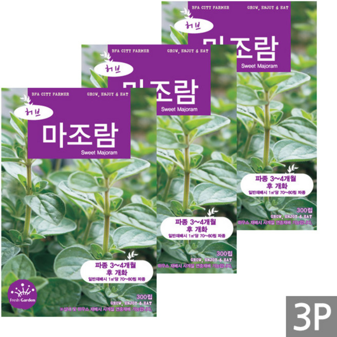 세인화분 마조람 300립 - 허브씨앗, 3개