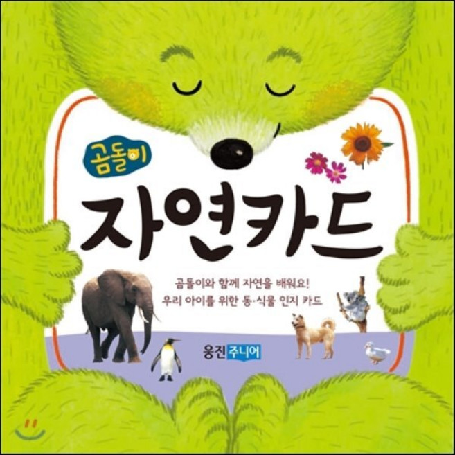 곰돌이 자연카드, 웅진주니어, 곰돌이 카드