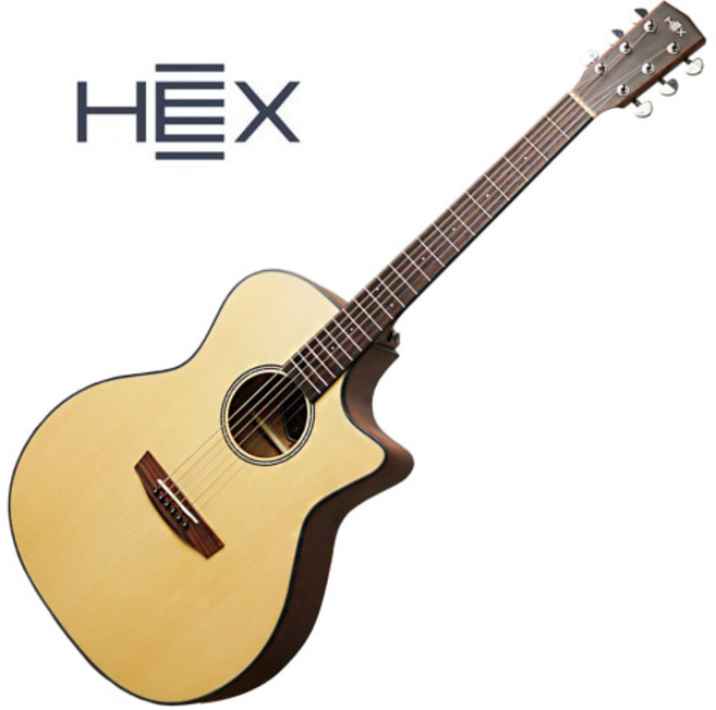 헥스 HIVE GA100CE (GA바디 픽업장착), 1개