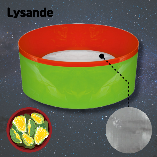 르산데 국산 다회용 김장매트, 1개