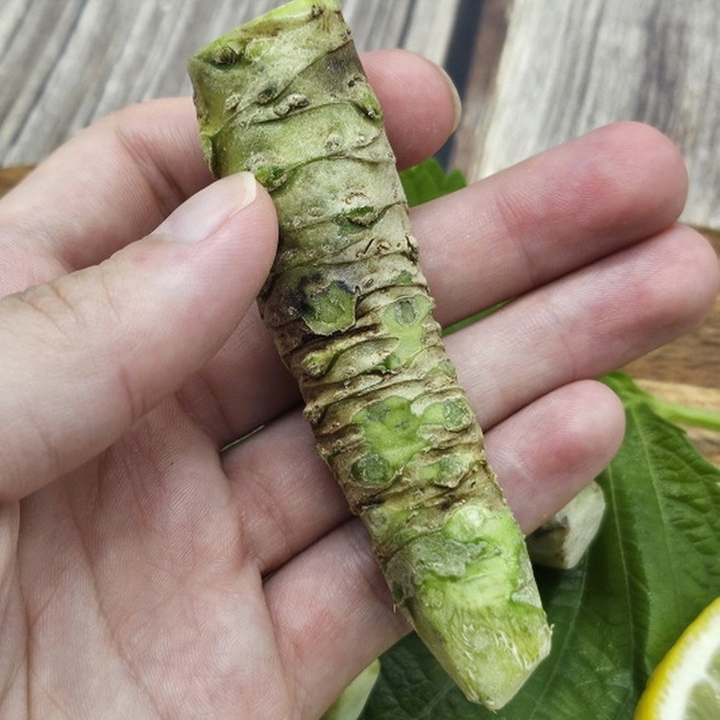 생와사비 뿌리, 1개, 70g