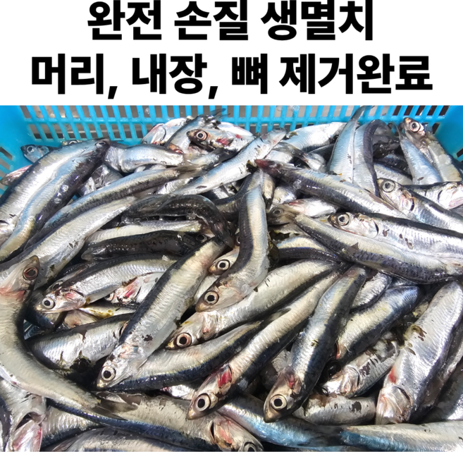 생멸치 손질 생멸치회 뼈 내장 머리 제거 생물 멸치, 1개, 300g