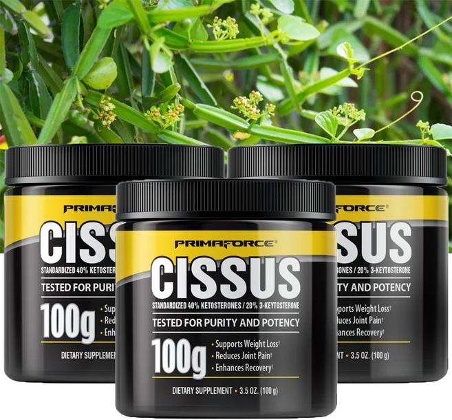 프리마포스 시서스가루 분말 추출물 시저스 씨서스 CISSUS 100g 3개 - 쿠팡