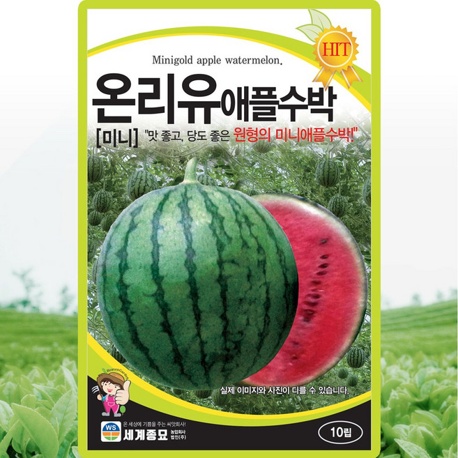 세계종묘 온리유 애플수박 씨앗 10립 미니 애플수박씨 종자, 1개