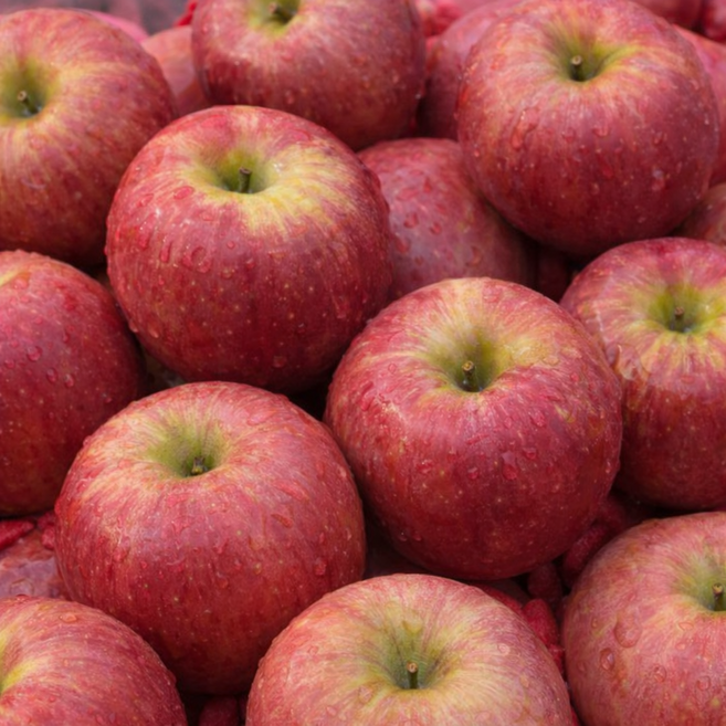 [50박스반값특가] 초고당도 경북 부사사과 꿀사과, 1박스, 10kg