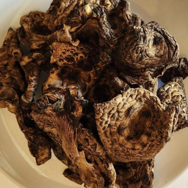 티벳산 건조능이버섯 A급 1kg, 1개