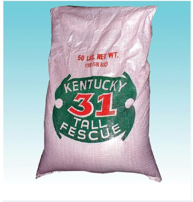 법면용 풀씨 5kg/혼합종자/톨훼스큐/페리니얼라이그라스/켄터키블루그라스/비탈면 사방공사/정원 골프장 잔디/토사방지용 야생화 씨앗/ 양잔디 씨앗/ 조경용 잔디씨앗, 페리니얼라이 5kg, 1개