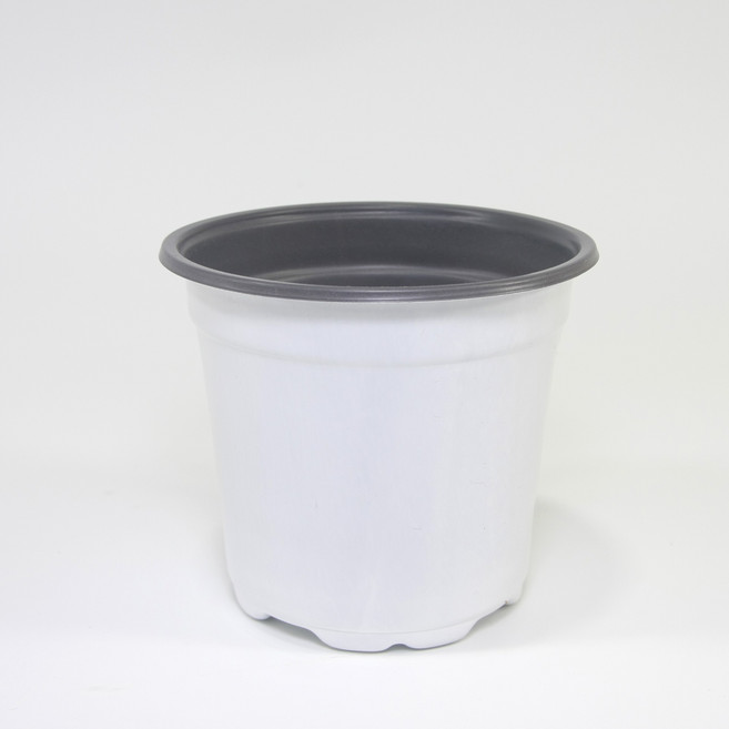 플라스틱 연질 분갈이 모종 이색포트 소형화분, 흰색, 1개