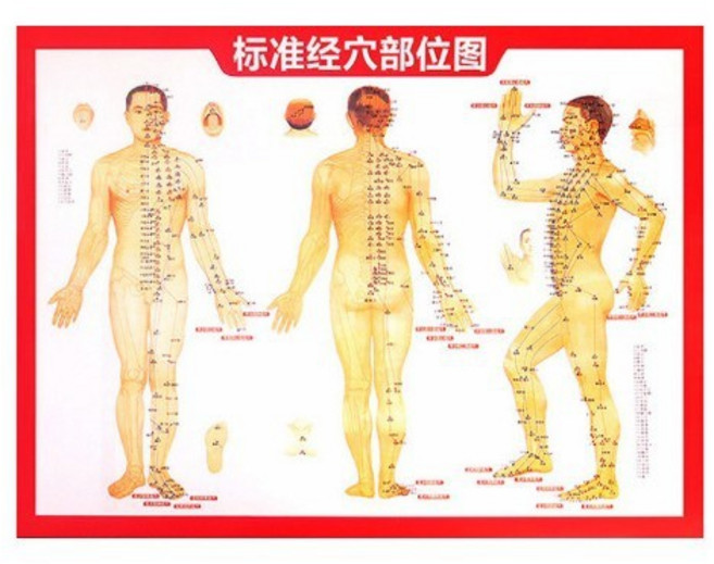 29齒黃銅經絡刷 全身按摩刷, 穴位圖,精美包裝, 1個