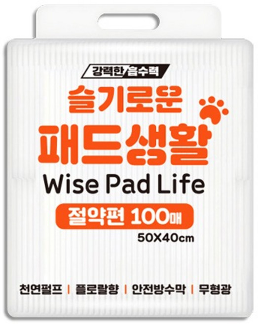 슬기로운패드(절약형), 100개입, 1개