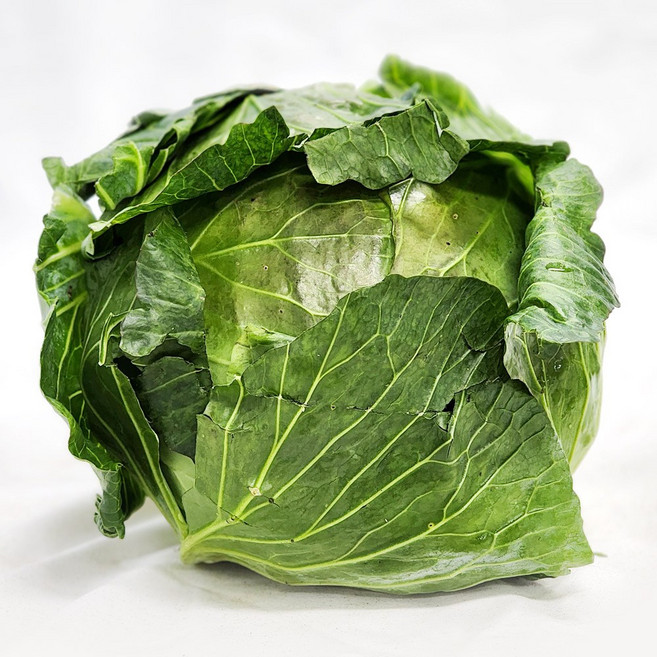 [울팜] 국내산 신선 통 양배추 대용량 식당용, 1박스, 8kg