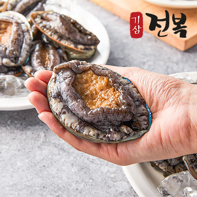 [신선특허]내일도착 1+1 기삼전복 500g 손질칼 / 산지직송 5미부터 40미, 1개, 꼬마 500g(총 15-20미) 손질칼