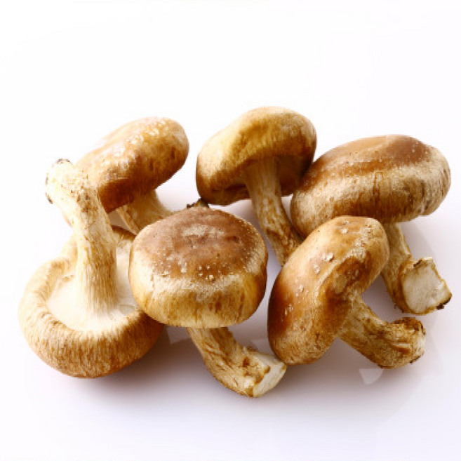 경북 문경 특허받은 친환경 무농약 명품 유화백송화버섯 표고버섯 슬라이스 분말 생버섯 농장을부탁해, 1세트, 슬라이스 100g 1팩