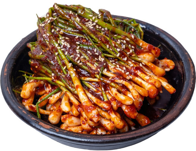 경자네 국내산 전라도 청양 실비 알싸하게 매운 파김치, 1개, 500g