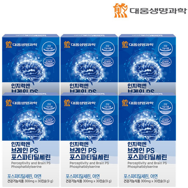 대웅생명과학 인지력엔 브레인 PS 포스파티딜세린 두뇌, 6개, 30정