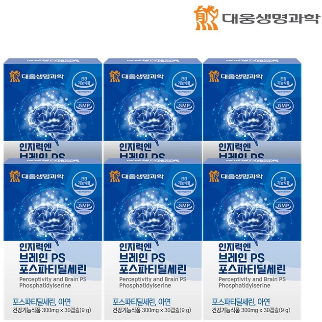 대웅생명과학 인지력엔 브레인 PS 포스파티딜세린 두뇌, 6개, 30정 - 쿠팡