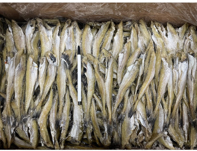 조미 두절 소 노가리 1kg 반건조, 1개