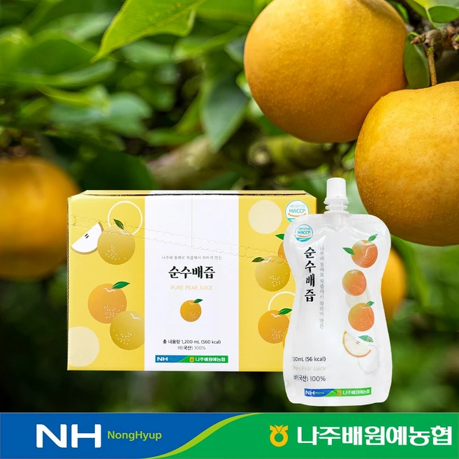 국내산 순수 나주 배즙 120ml 어린이 기관지 목건강 배즙, 1개 - 쿠팡