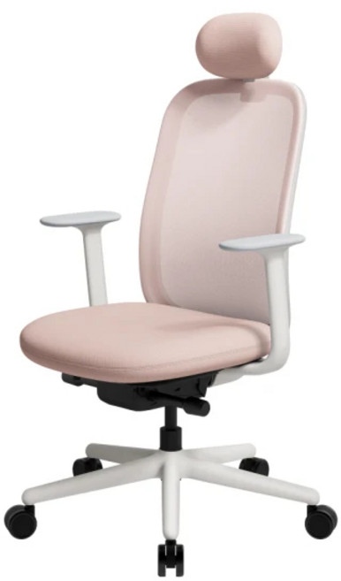 SIDIZ T20 網背人體工學椅, 裸霧粉