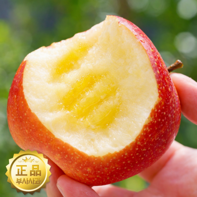정성농장 초특가 국내산 고당도 부사 사과, 1박스, 5kg 선별포장