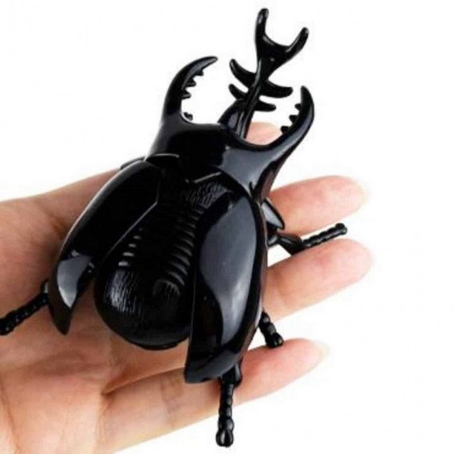 아이들생일선물 어린이장난감 남자아이선물 장수풍뎅이 장난감, 1개