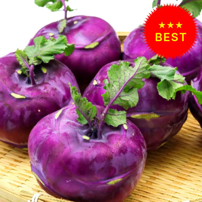 [한정수량 초특가] 농장 직송 제주 콜라비, 1박스, 10kg