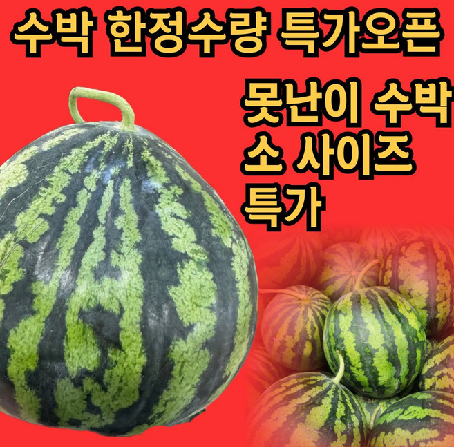 고당도 꿀수박 당도선별 못난이 수박, 1개, 3kg
