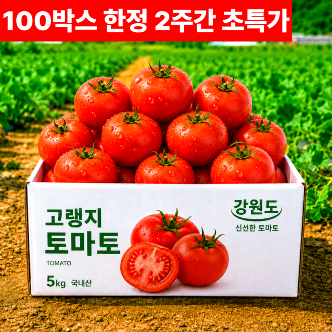 4위 - [산지직송] 강원도 고랭지 완숙토마토 국내산, 1박스, 5kg