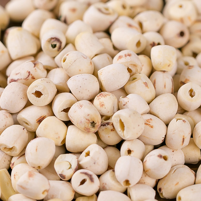 한가람건강원 베트남산 거피 연자육 대용량 연꽃열매 효능 약재 약초 600g, 1개