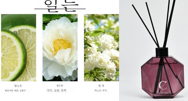 Clybo 아로마 오일 가정용 방향제 장식소품 디퓨저 팔변병세트, 185ML, 힐튼, 1개