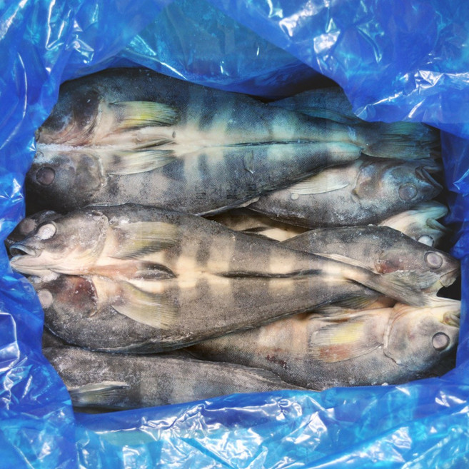 푸드마을 냉동 생선 임연수 5kg 내외 이면수, 1박스