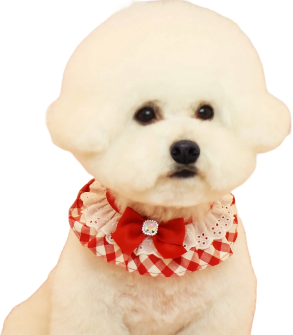 하니펫 반려동물 귀요미스카프 큐티체크프릴, 빨강, 1개