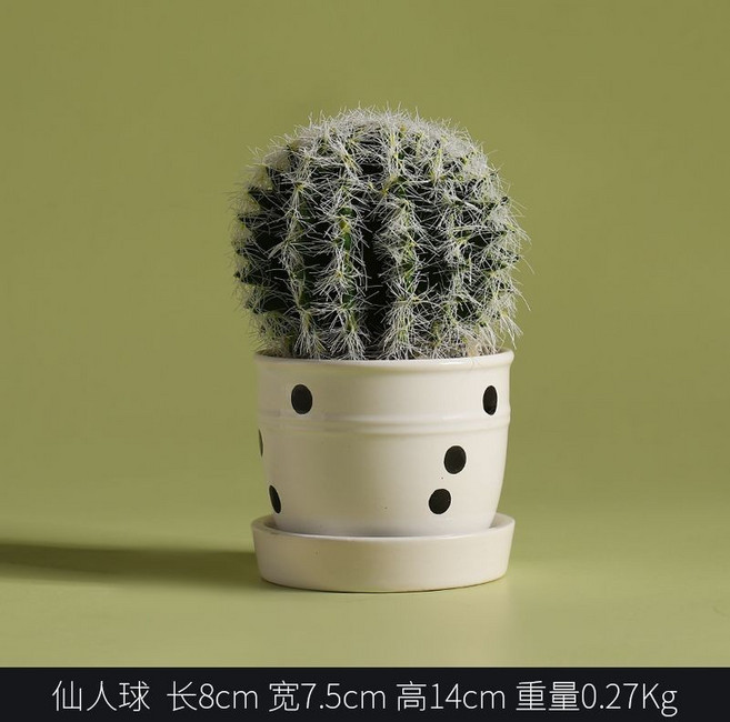 北歐仿真植物 創意多肉小盆栽 室內裝飾品, 百折不撓 僊人球