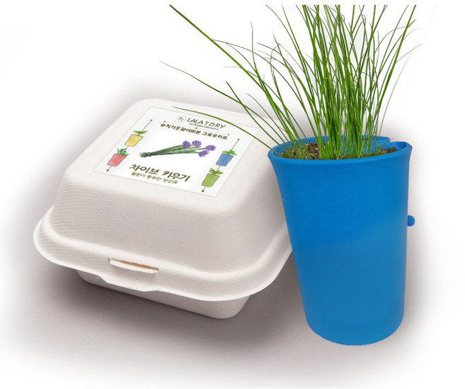 라라토리 그로우키트, 차이브