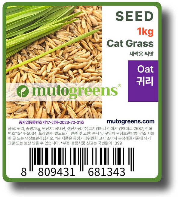 [뮤토 캣그라스 새싹 용 씨앗 1KG] 올해 생산 종자 고양이 강아지 간식(100그램 X 10 개별포장), 귀리, 100g, 10개