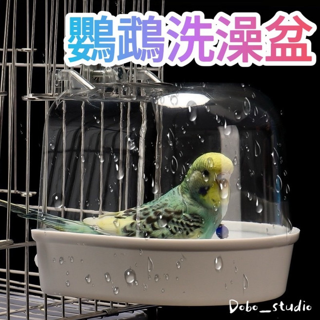 Dobo_studio 鸚鵡洗澡盆 透明浴盆 適用虎皮鸚鵡文鳥, 1個, 顏色隨機, 顏色隨機