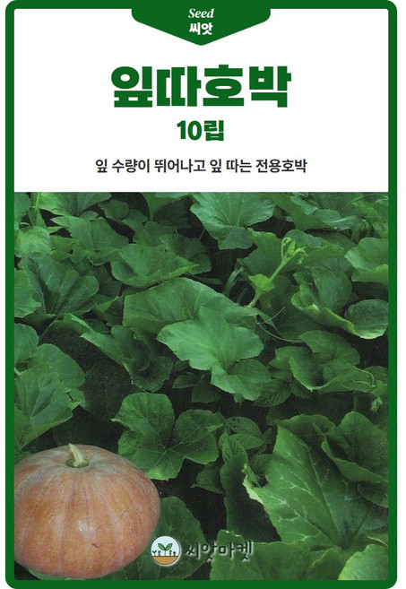 잎따 호박 씨앗 10립 수량이 뛰어난 잎 따는 전용 호박씨 종자, 1개