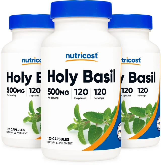 뉴트리코스트 홀리 바질 500mg 120캡슐, 3개, 단품, 120정 - 쿠팡