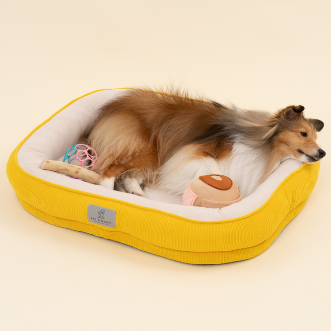 펫앤마마 애완동물 꿀잠 방석, 딥 옐로우, 1개