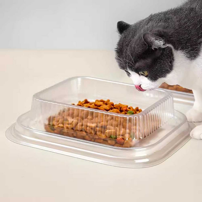 길고양이밥그릇 실외 개미 방지 사각형 대용량 깊은, 1개, 일회용 사각 그릇 (5개입)