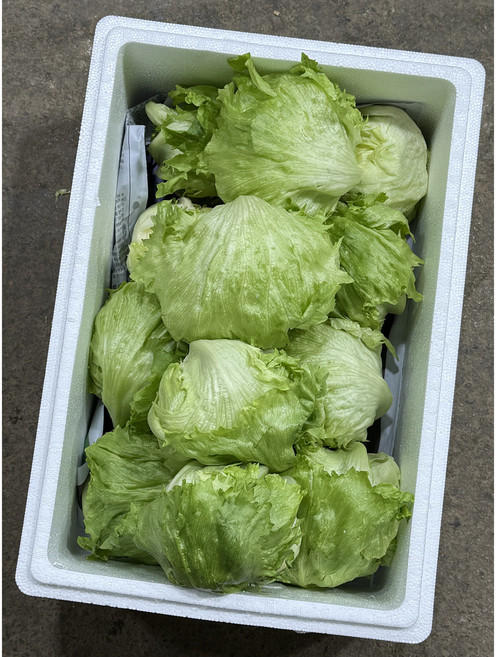 채소모아 산지직송 깐양상추 식자재 업소용 대용량, 1박스, 4kg