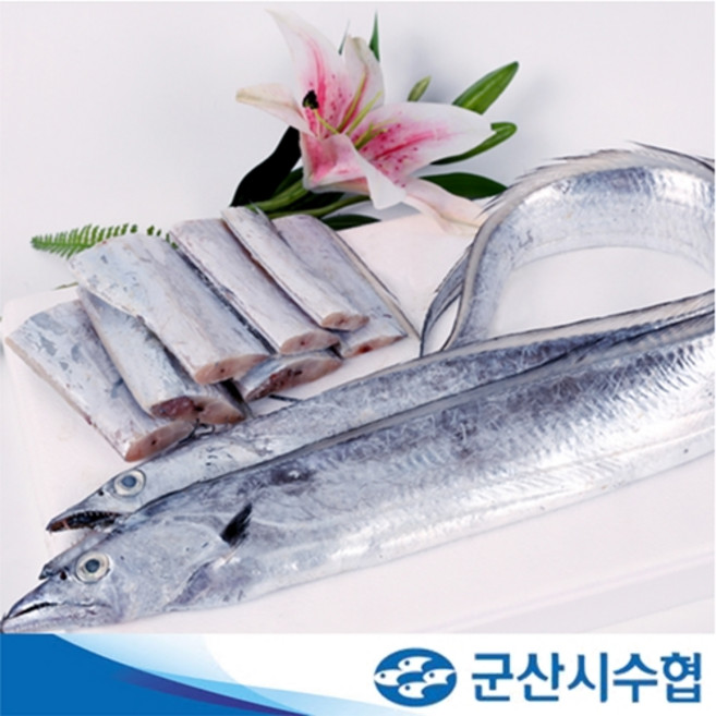 [군산시수협] 군산 토막먹갈치 2미(550g), 1개