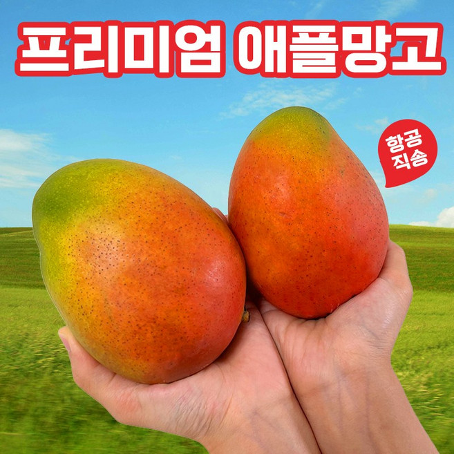 애플망고 선물세트 항공직송 최고급, 1박스, 2kg (5과수내외)