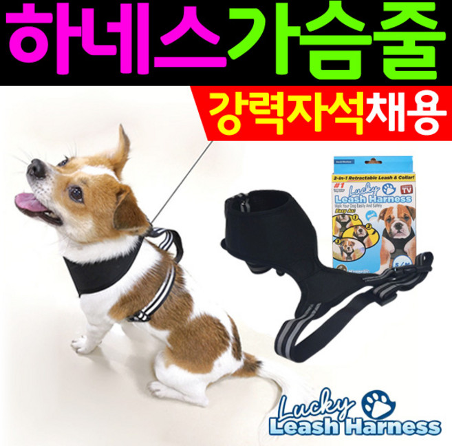 도매짱 강아지 하네스 가슴줄 애견 목줄 몸줄 벨트 리드줄