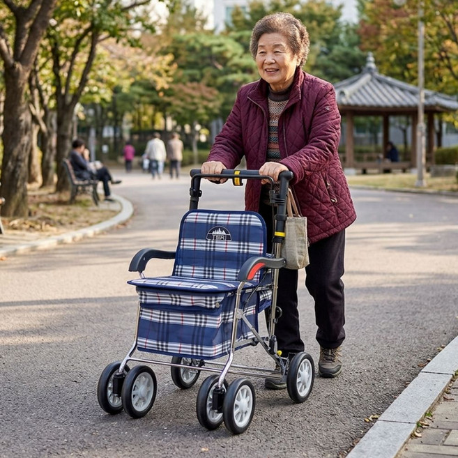 노인용 고급형 보행보조차 TR-505 실버카 노인 어르신 보행보조기 할머니유모차 노인보행기, 1개